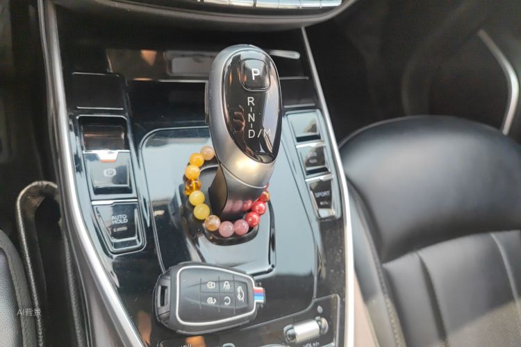 Soueast DX7 2020 car image #16