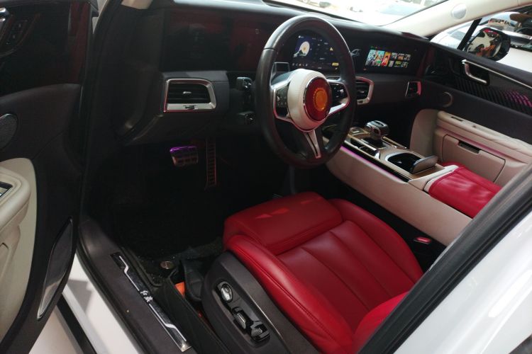 HongQi E-HS9 2021 imagem de carro #16