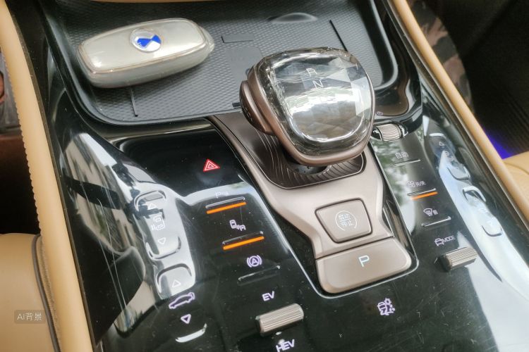 Denza D9 2023 imagem de carro #16