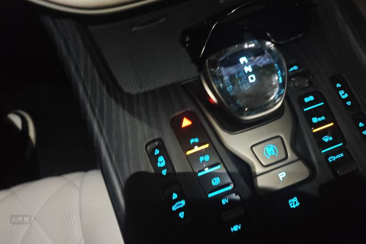 Denza D9 2023 imagen de coche #16