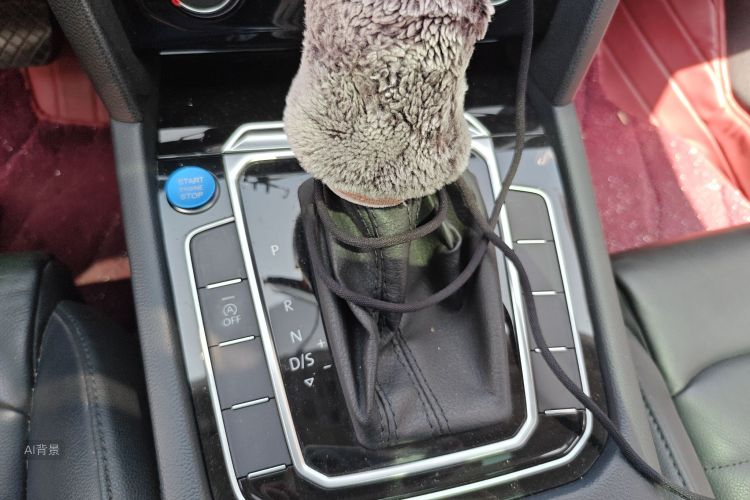 Volkswagen Magotan 2019 immagine di auto #16