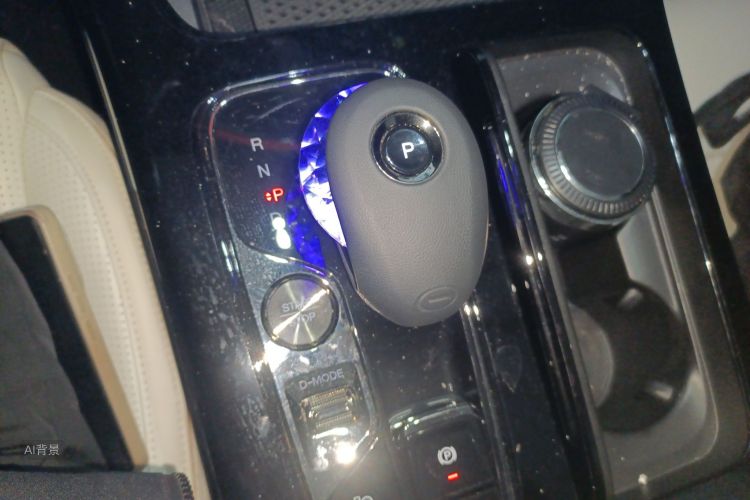 广汽传祺 传祺E9 2023 汽车图片 #16