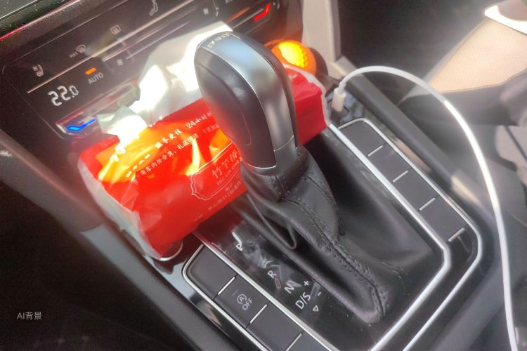 Volkswagen Magotan 2022 car image #16
