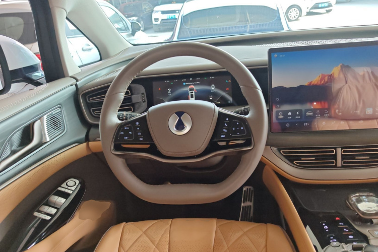 Denza D9 2023 imagem de carro #16