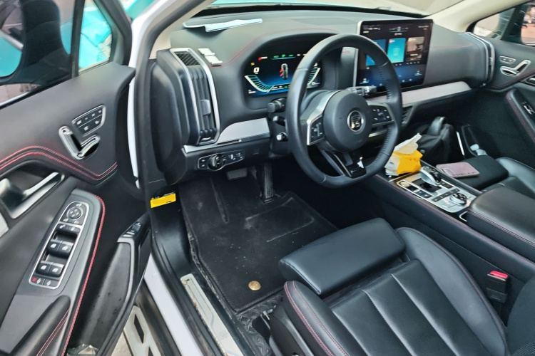 BYD Tang New Energy 2019 car image #16