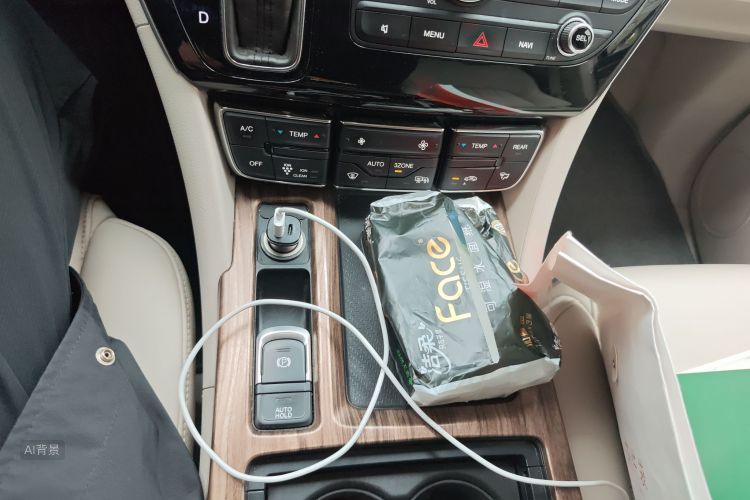 GAC Trumpchi M8 2019 car image #16