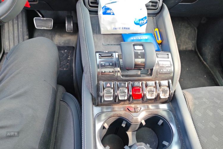 FangChengBao Leopard 5 2024 car image #16