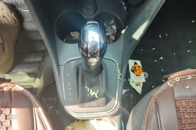 Polo 2016 immagine di auto #16