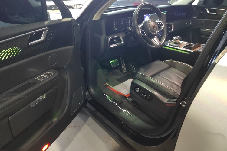 HongQi E-HS9 2023 immagine di auto #16