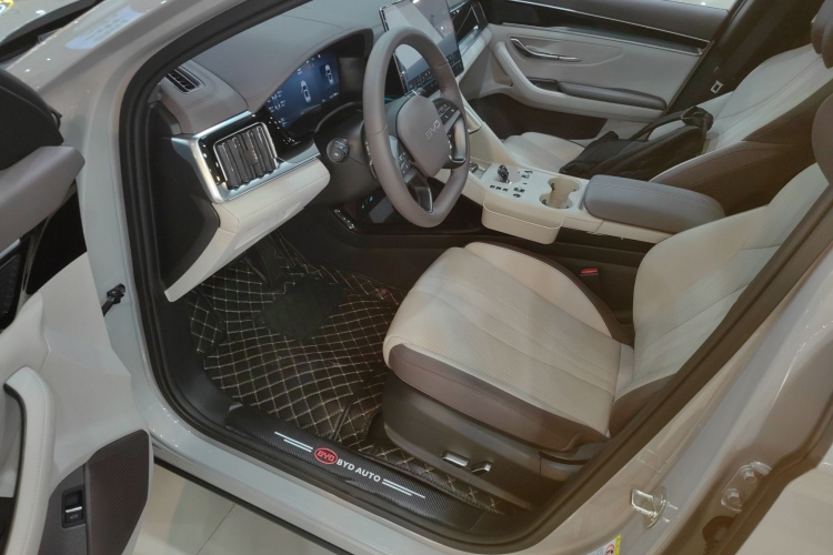 BYD Song Plus New Energy 2025 immagine di auto #16