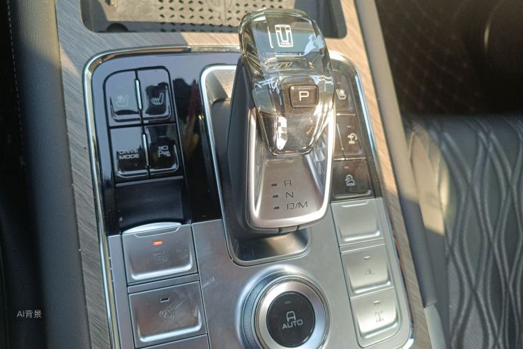 Tank 500 New Energy 2024 immagine di auto #16