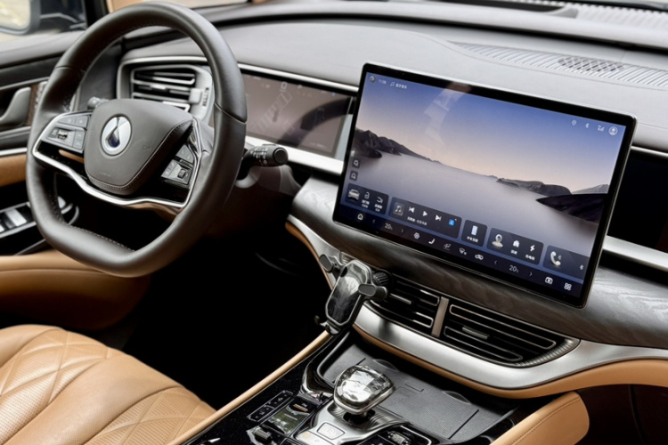 Denza D9 2025 изображение автомобиля #16