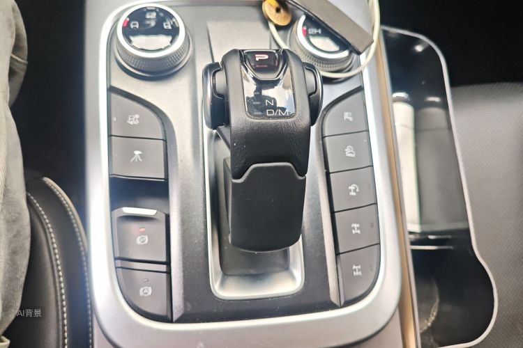 坦克 坦克300 2021 汽车图片 #16