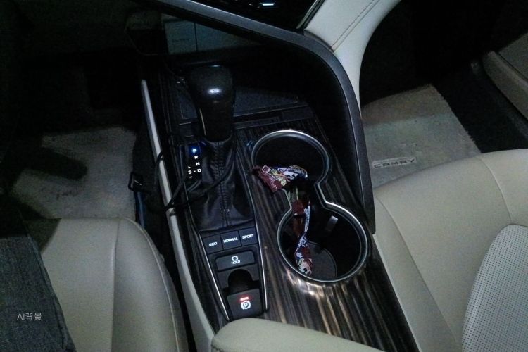 Toyota Camry 2020 car image #16