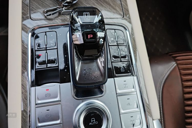 坦克 坦克500 2022 汽车图片 #16