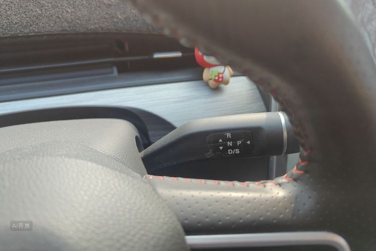 Neta V 2022 imagen de coche #16