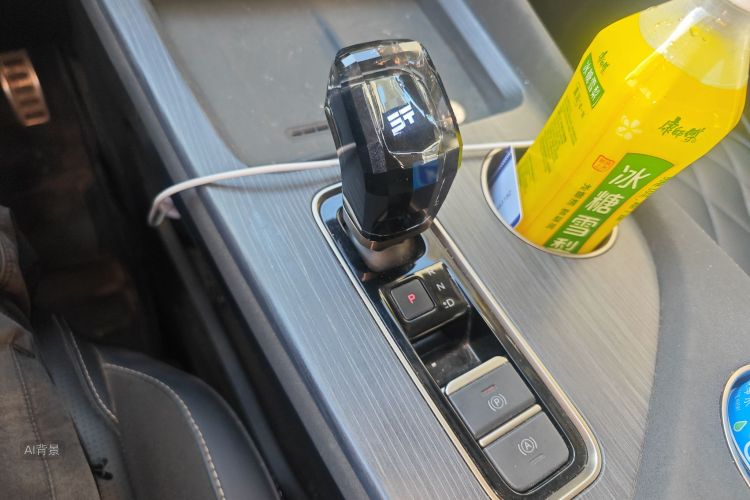 Jetour Shanhai L9 2023 image de voiture #16