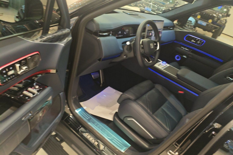 极氪 极氪9X 2025 汽车图片 #16