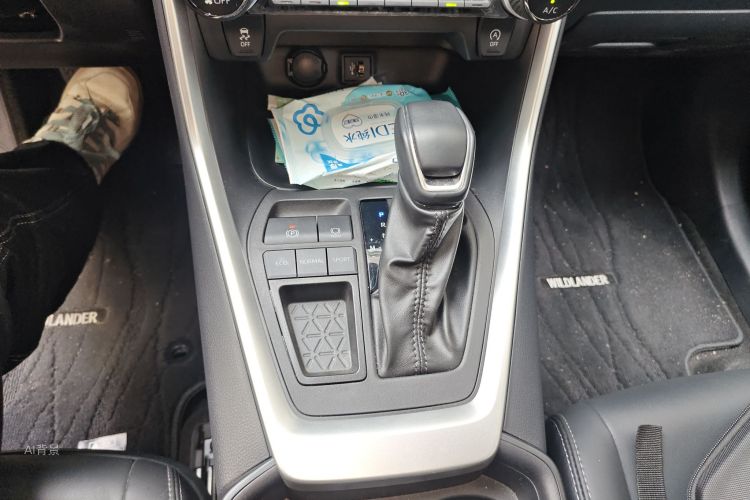 Toyota Wildlander 2023 car image #16