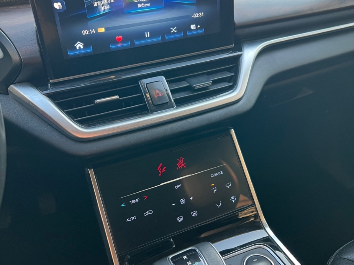 HongQi E-HS3 2021 #16 HongQi E-HS3 2021 car image #16