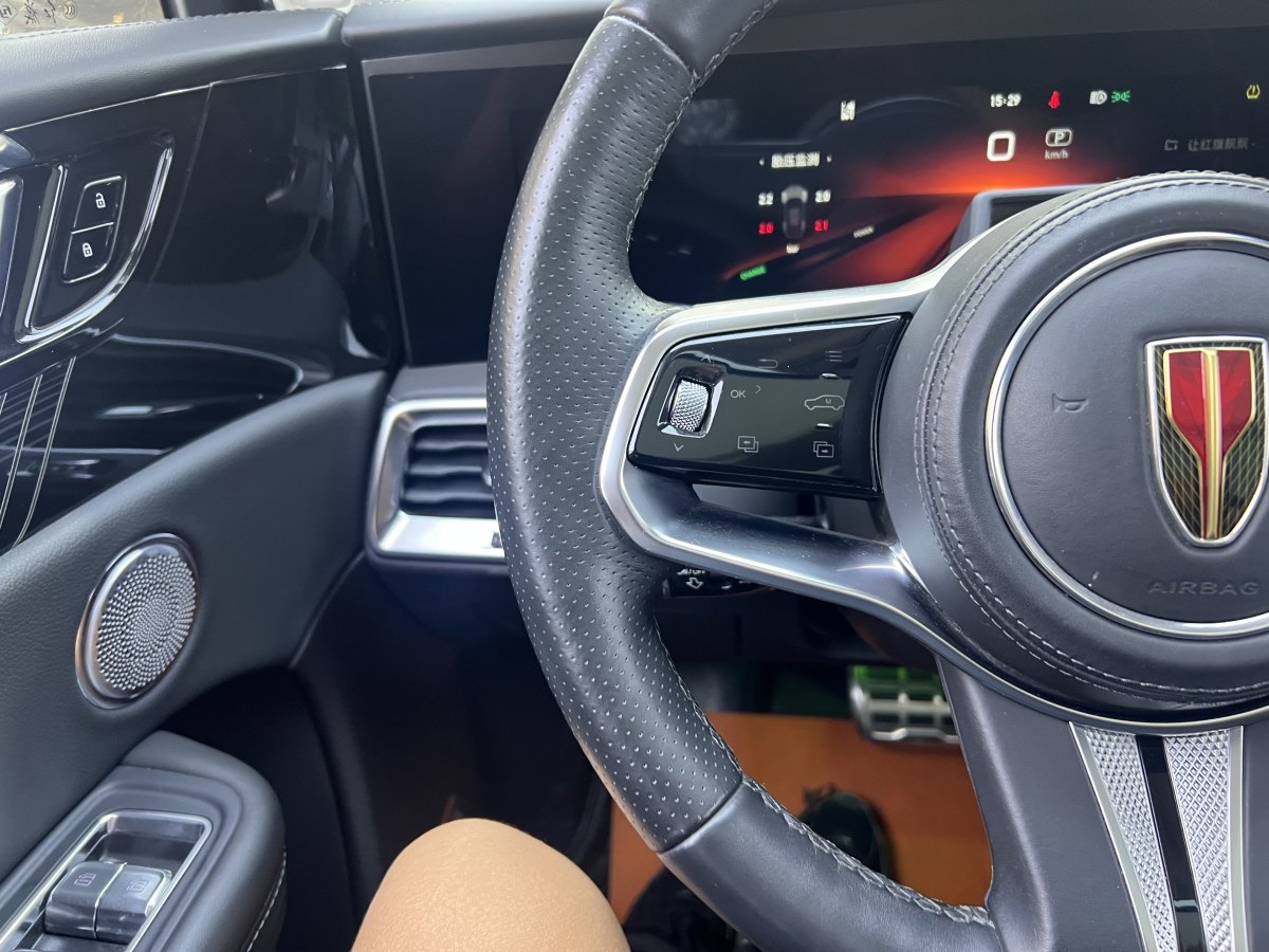 HongQi E-HS9 2022 car image #16