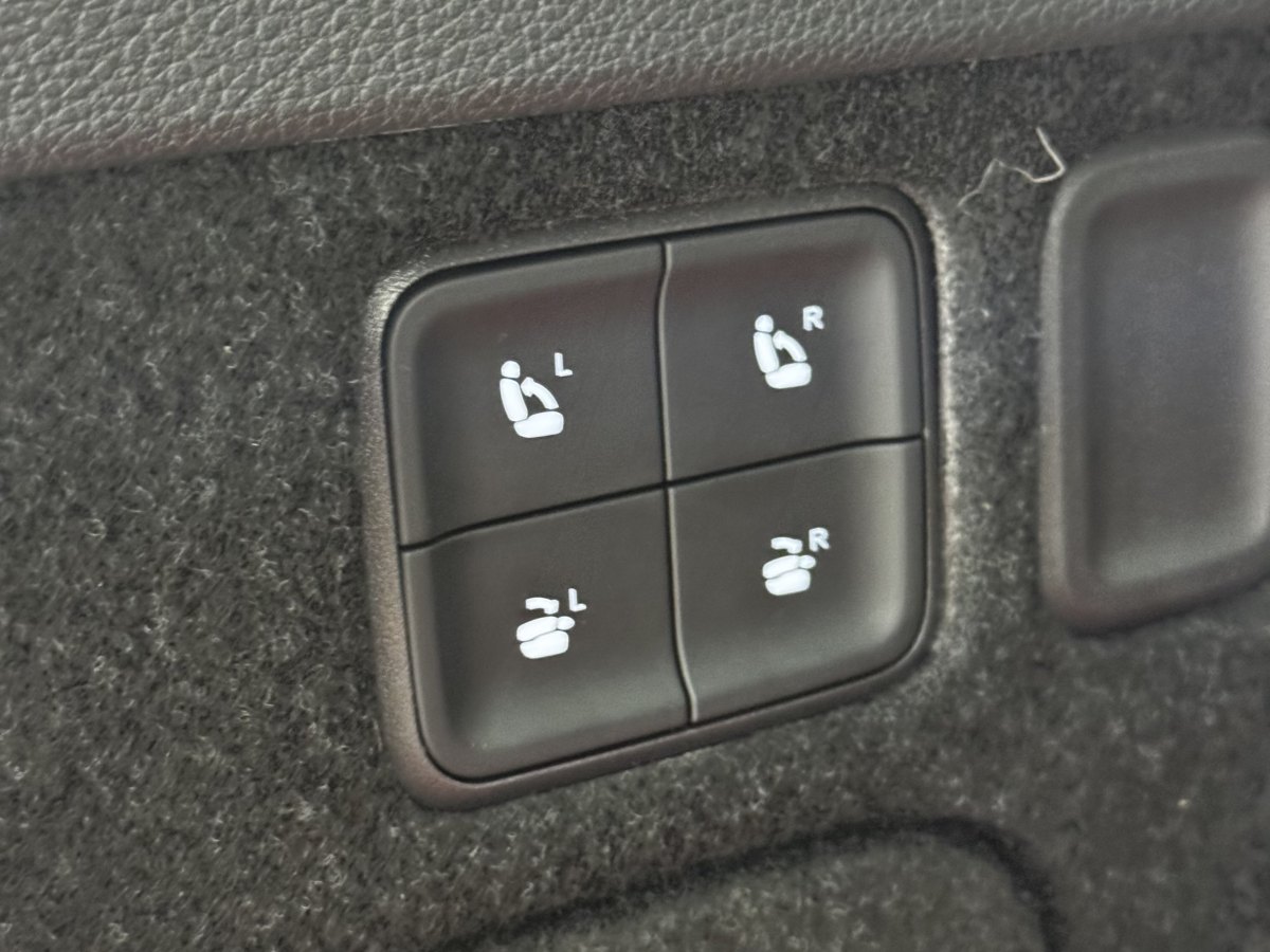 HongQi E-HS9 2021 #16 HongQi E-HS9 2021 immagine di auto #16