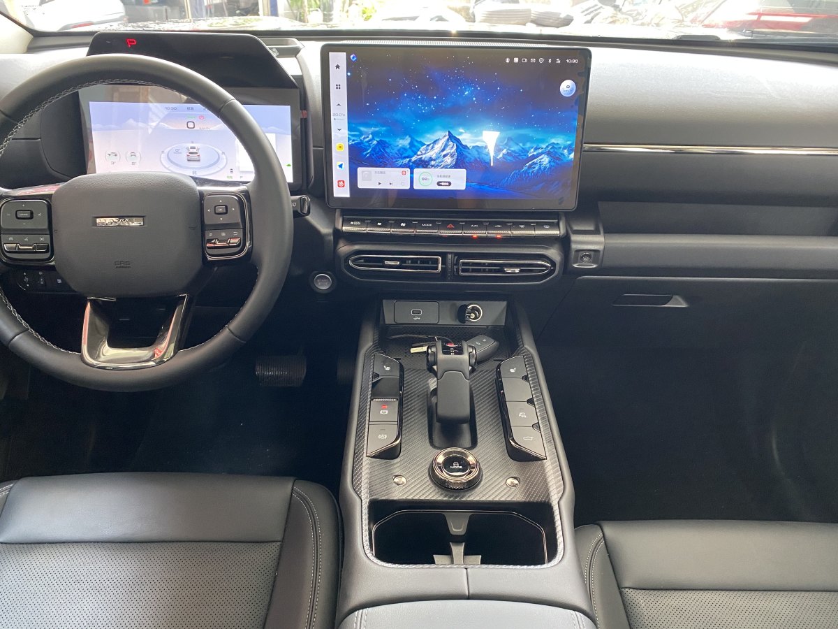 Haval X Dog 2 New Energy 2024 car image #16