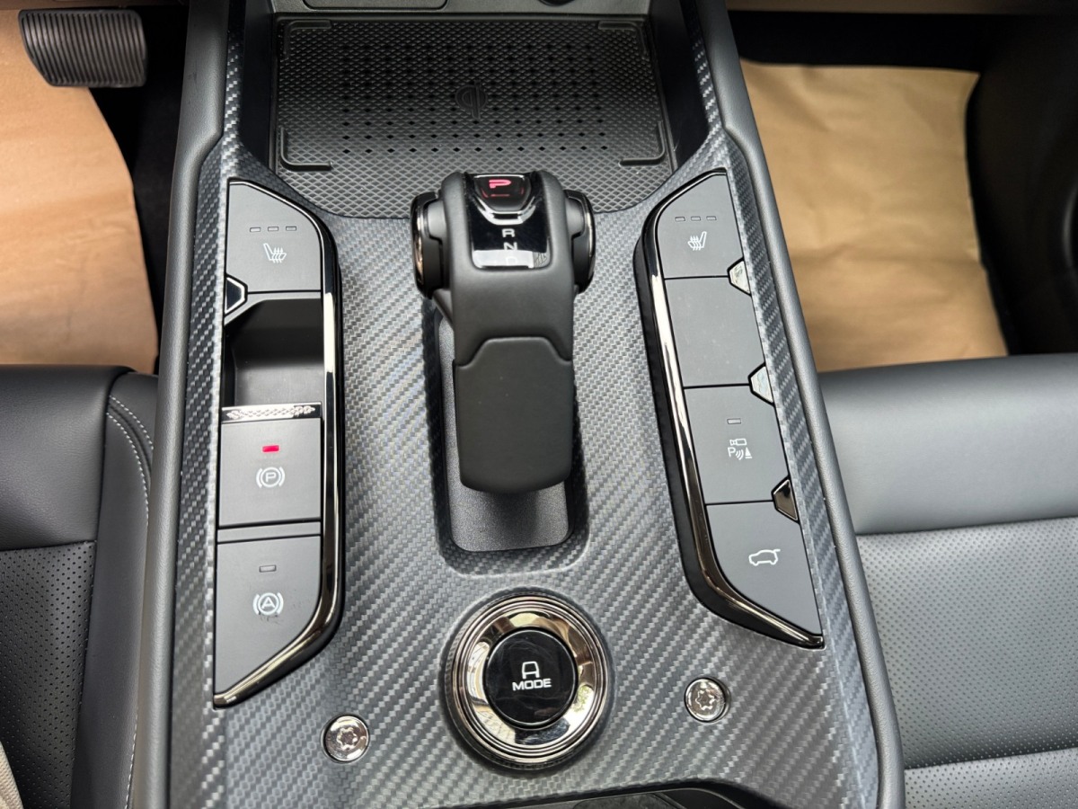 Haval X Dog 2 New Energy 2024 car image #16