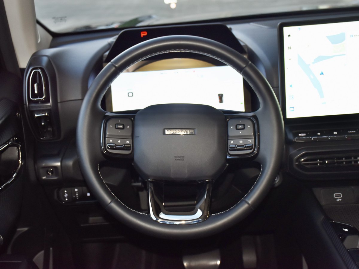 Haval X Dog 2 New Energy 2023 car image #16