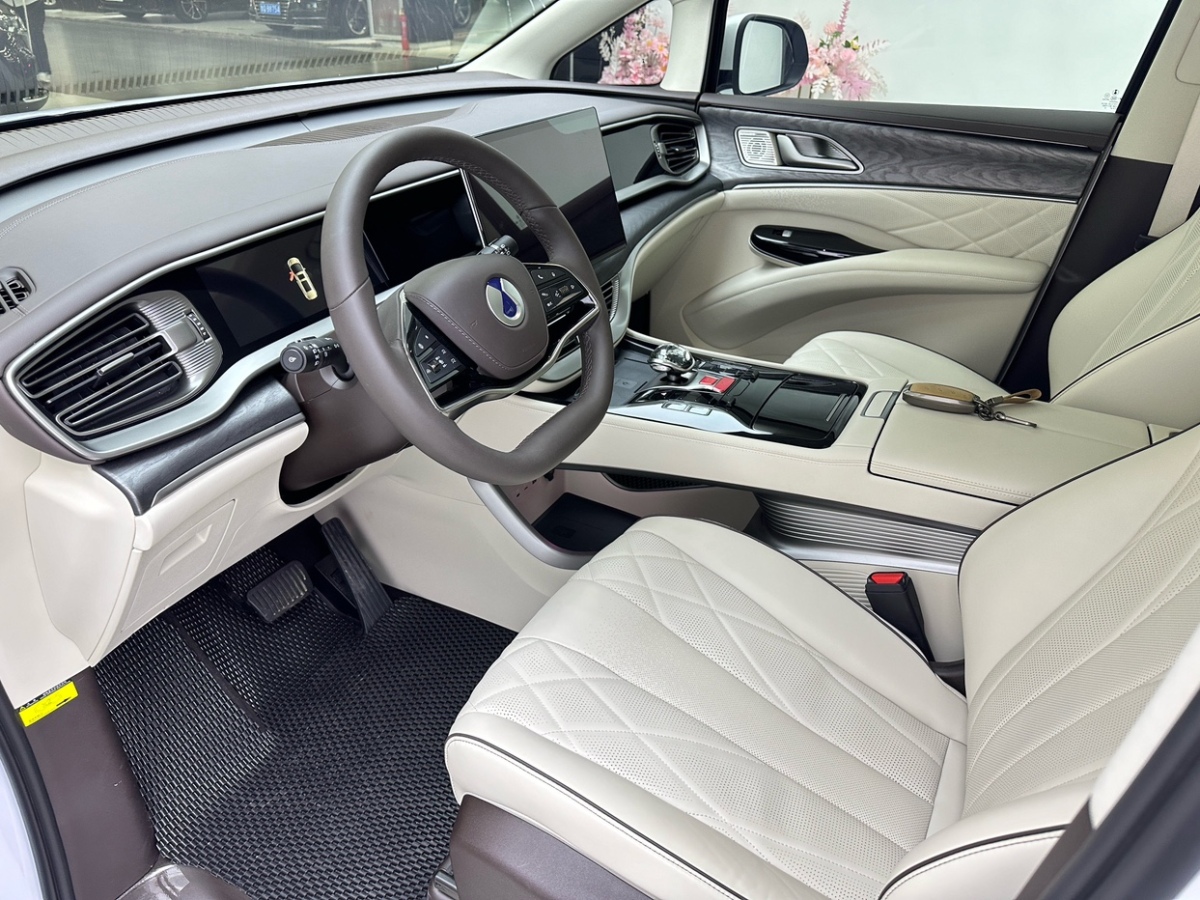 Denza N8L 2024 #16 Denza N8L 2024 car image #16