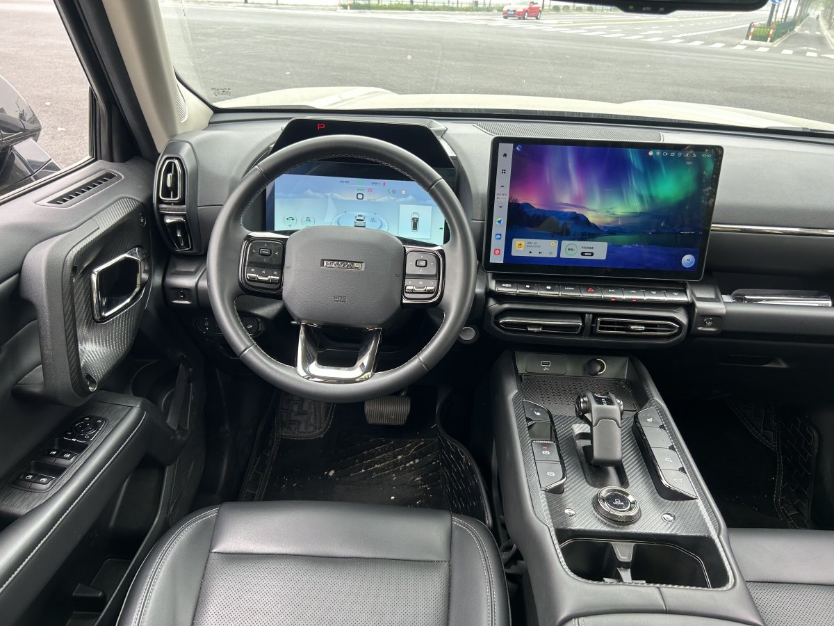Haval X Dog 2 New Energy 2024 car image #16
