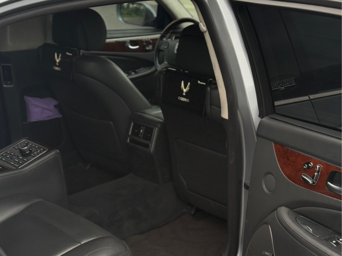 Hyundai Equus 2014 car image #16