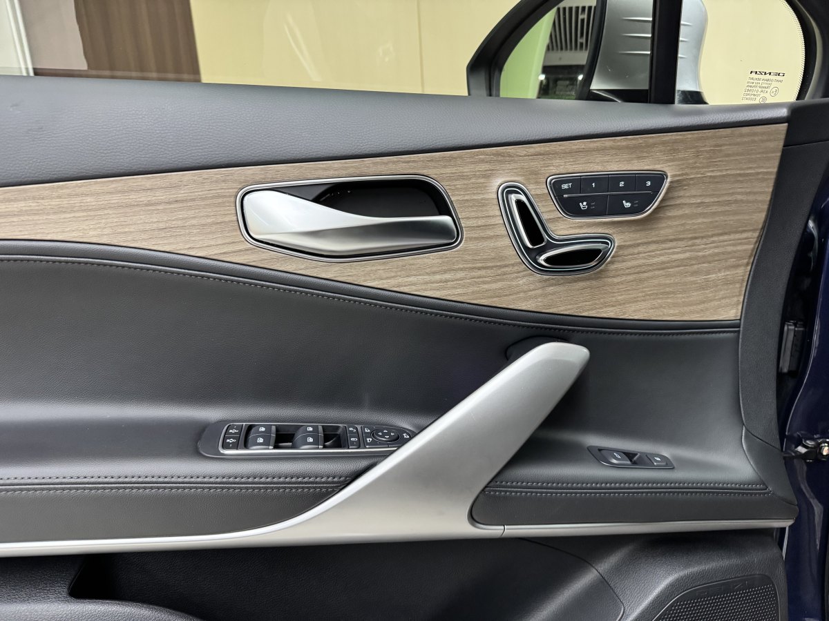 Denza X 2020 #16 Denza X 2020 car image #16