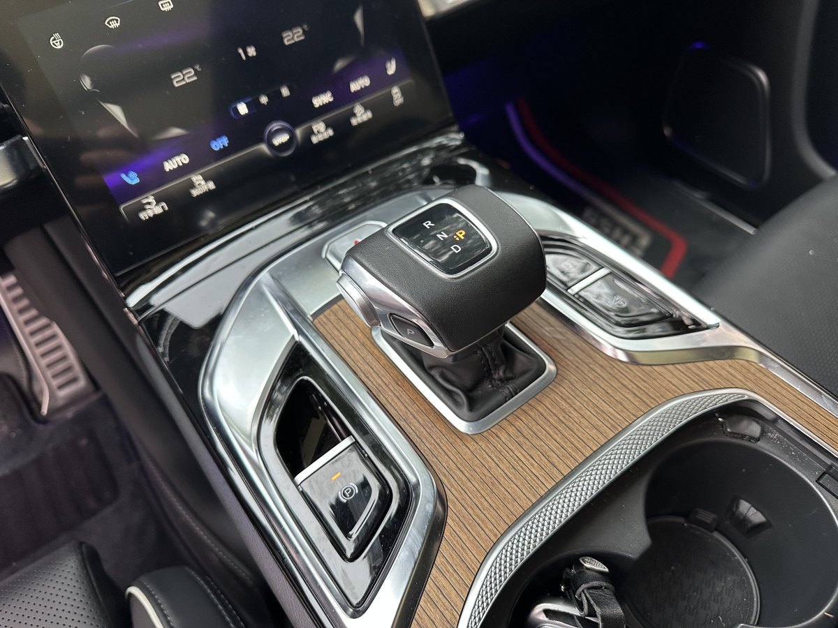 HongQi E-HS9 2022 #16 HongQi E-HS9 2022 car image #16