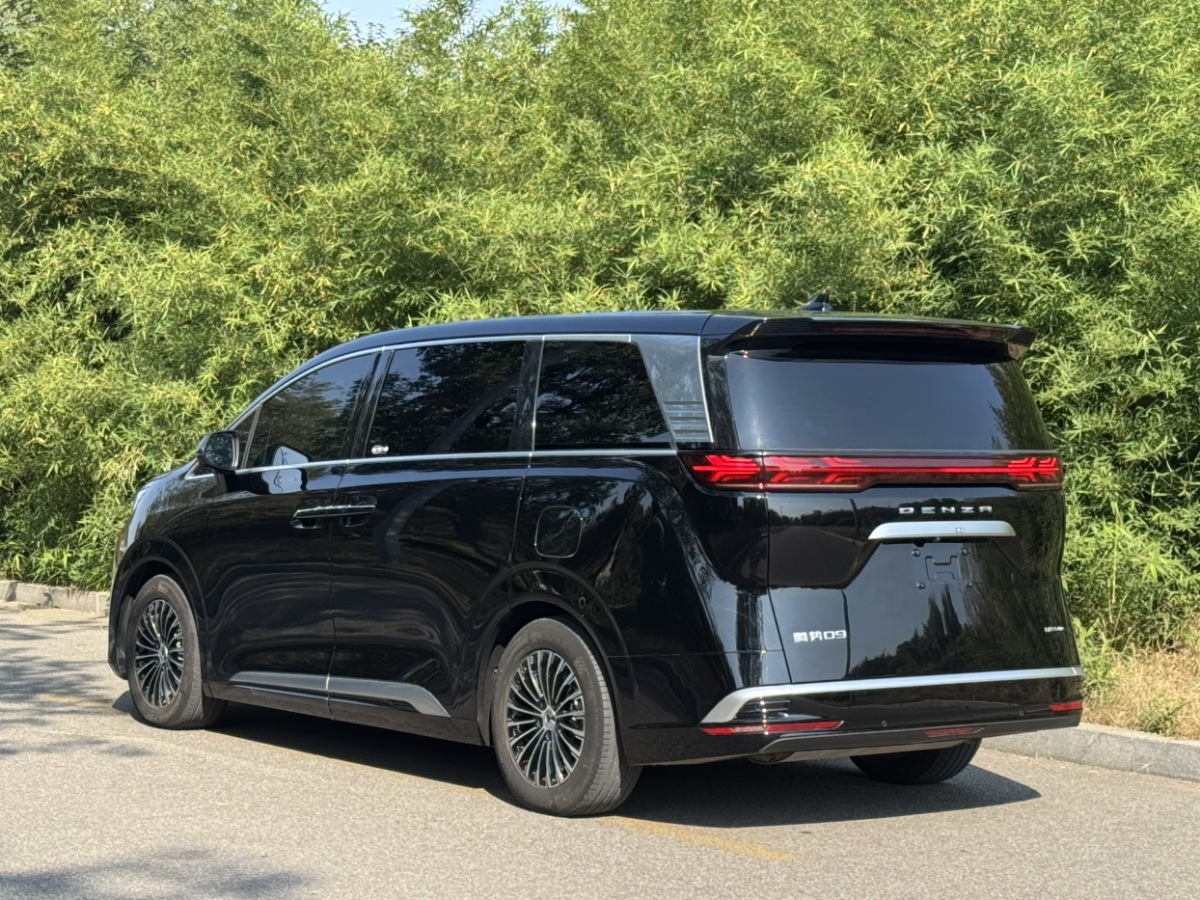 腾势 腾势D9 2024 汽车图片 #16