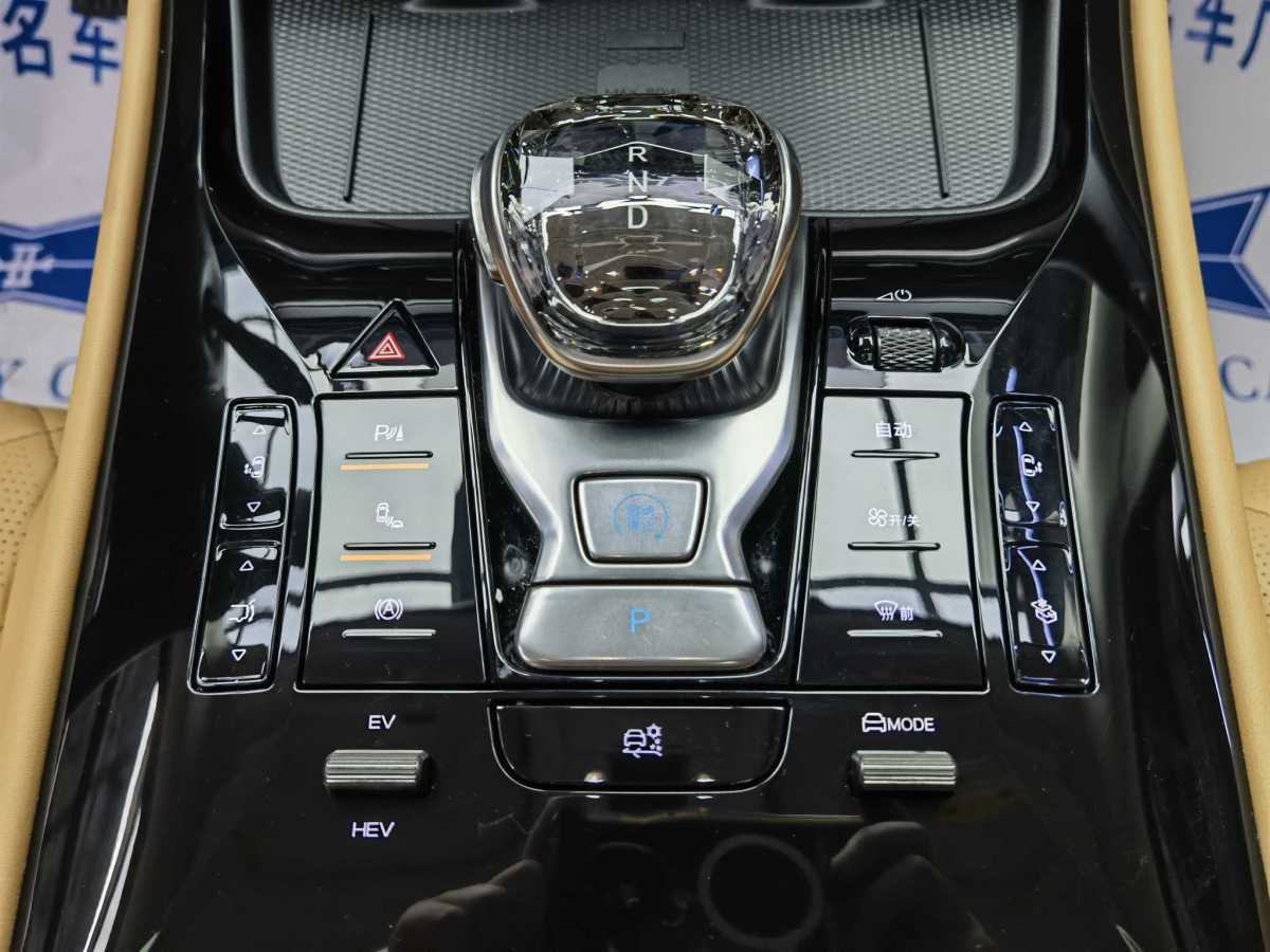 Denza DENZA 2024 car image #16