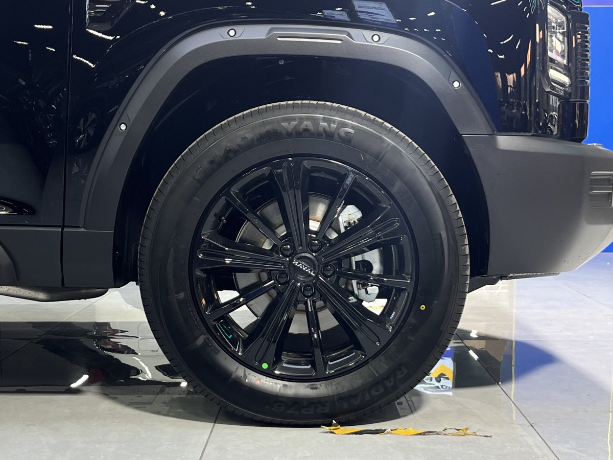 Haval Raptor 2025 car image #16