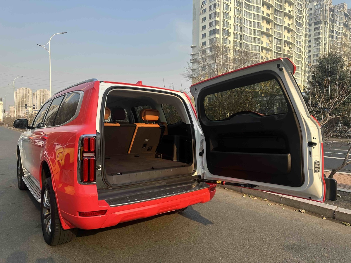 Tank 500 New Energy 2024 car image #16