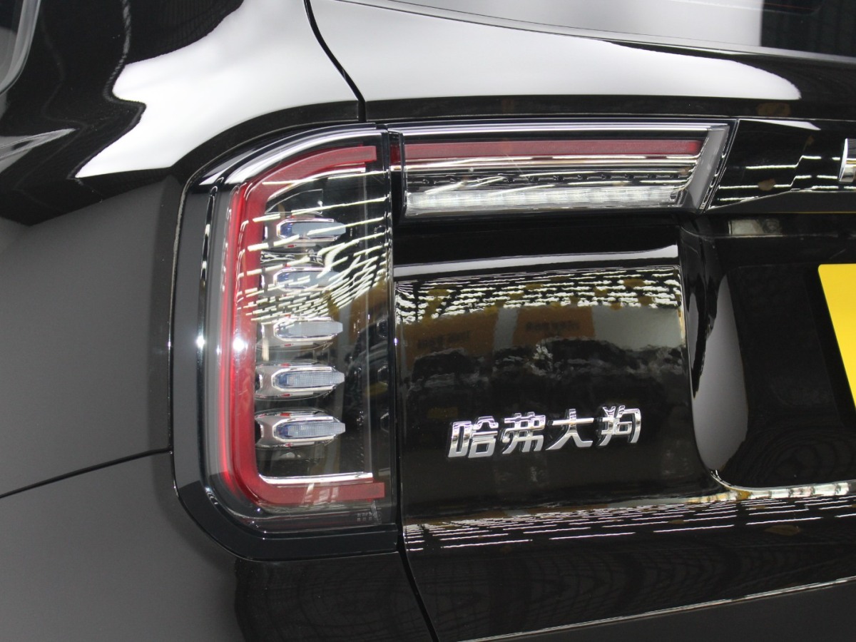Haval X Dog / Dargo 2021 car image #16