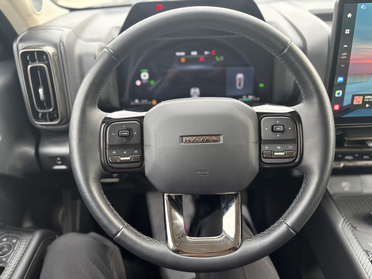 Haval Raptor 2023 car image #16