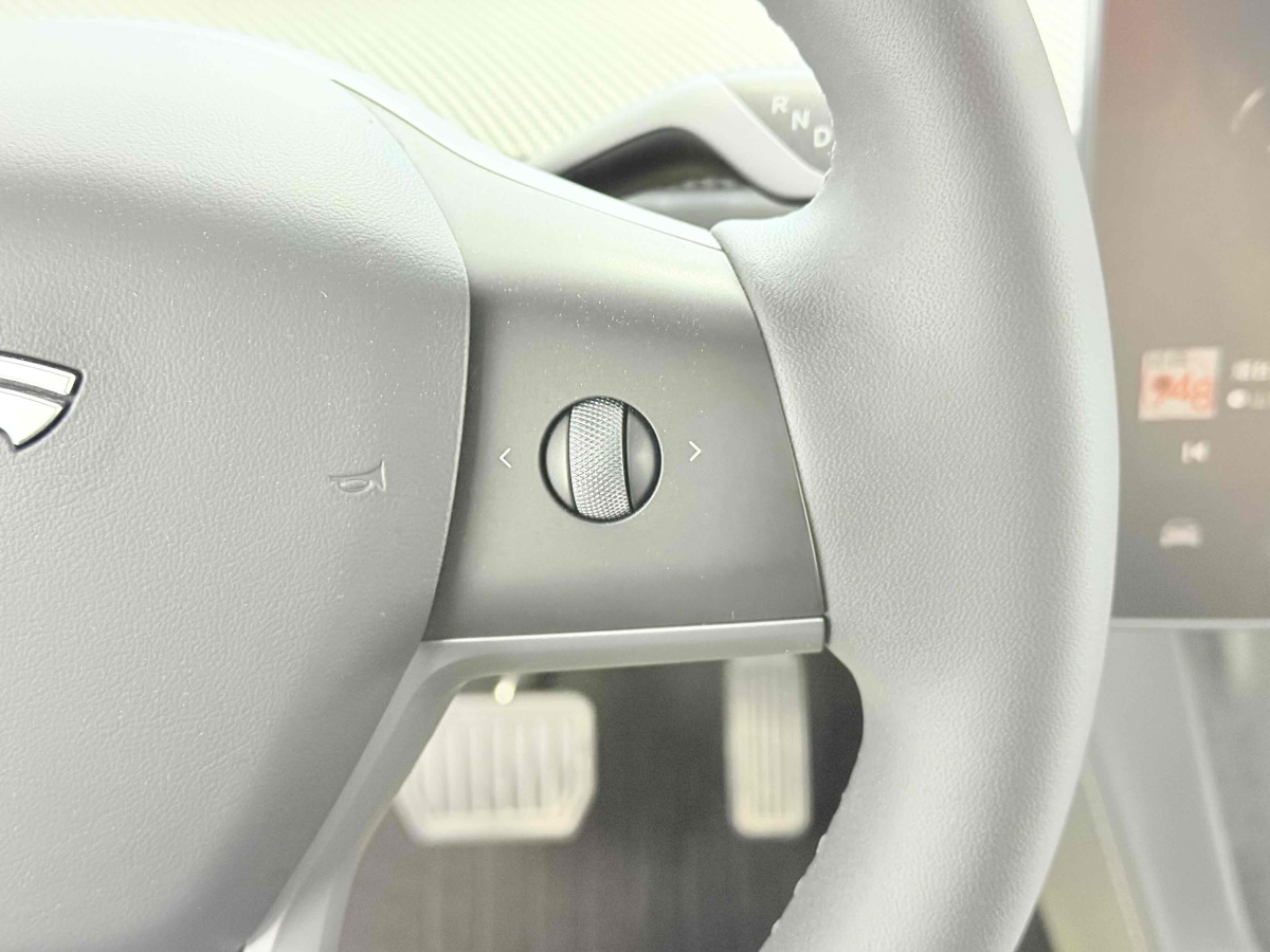 Tesla Model Y 2023 car image #16