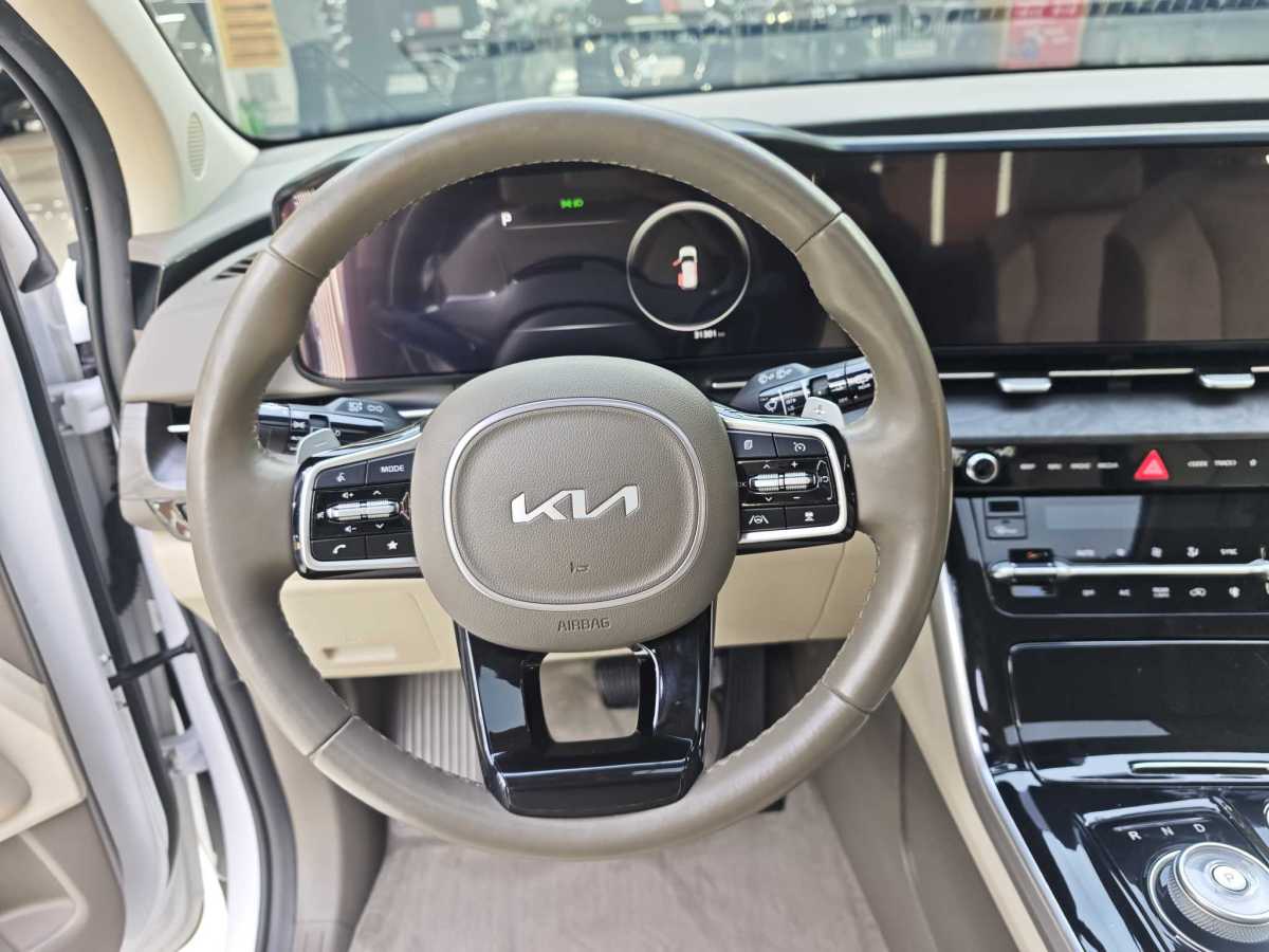 Kia Carnival 2022 immagine di auto #16