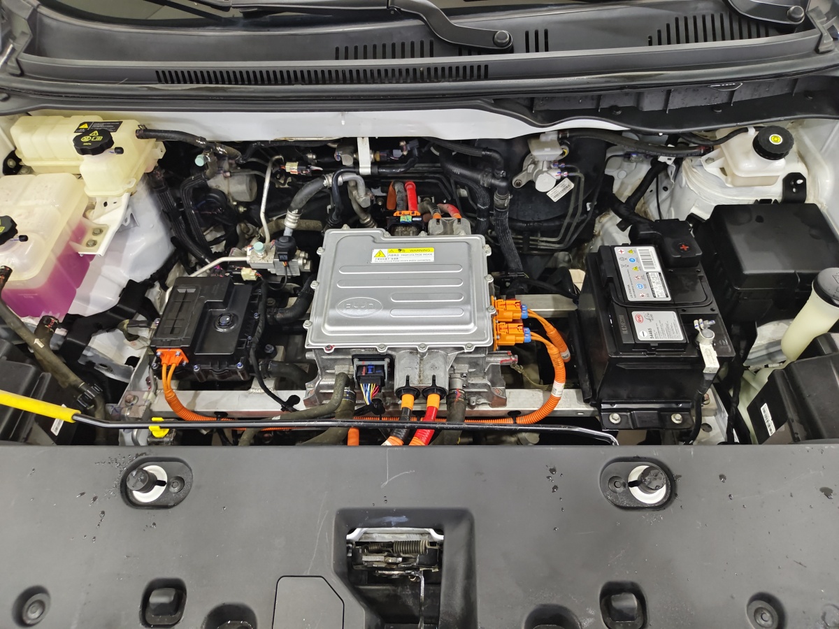 BYD Yuan Pro 2022 immagine di auto #16