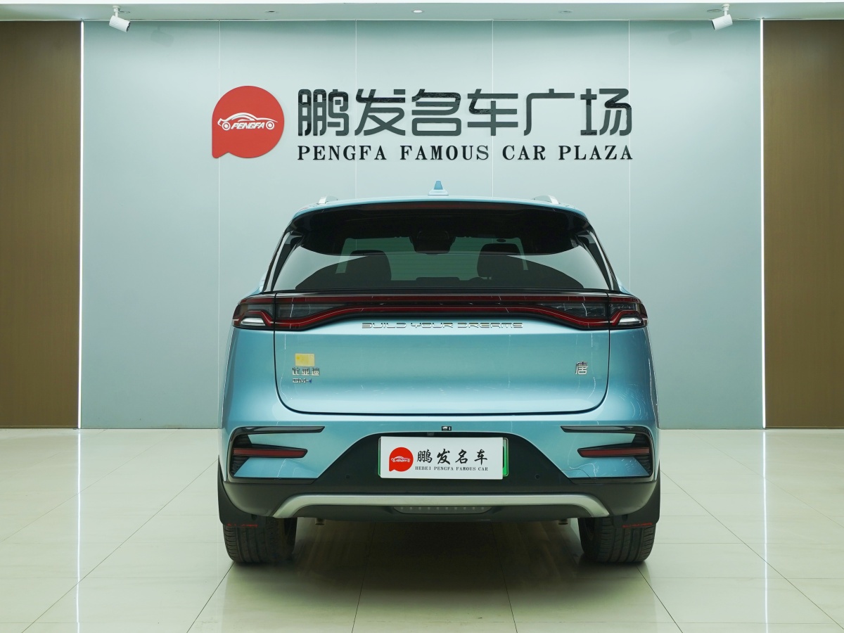 BYD Tang New Energy 2023 car image #16