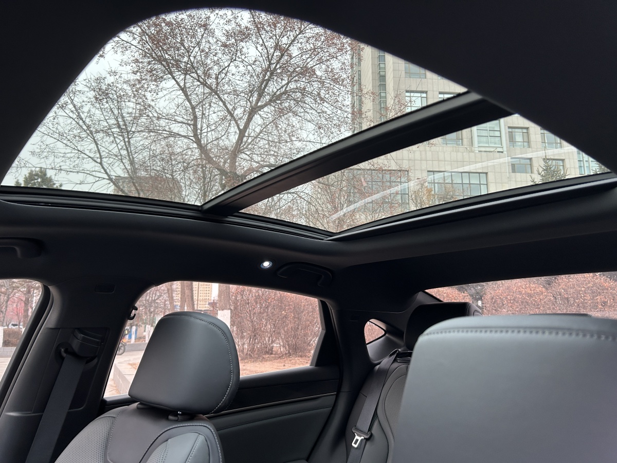 BYD Qin L 2024 car image #16