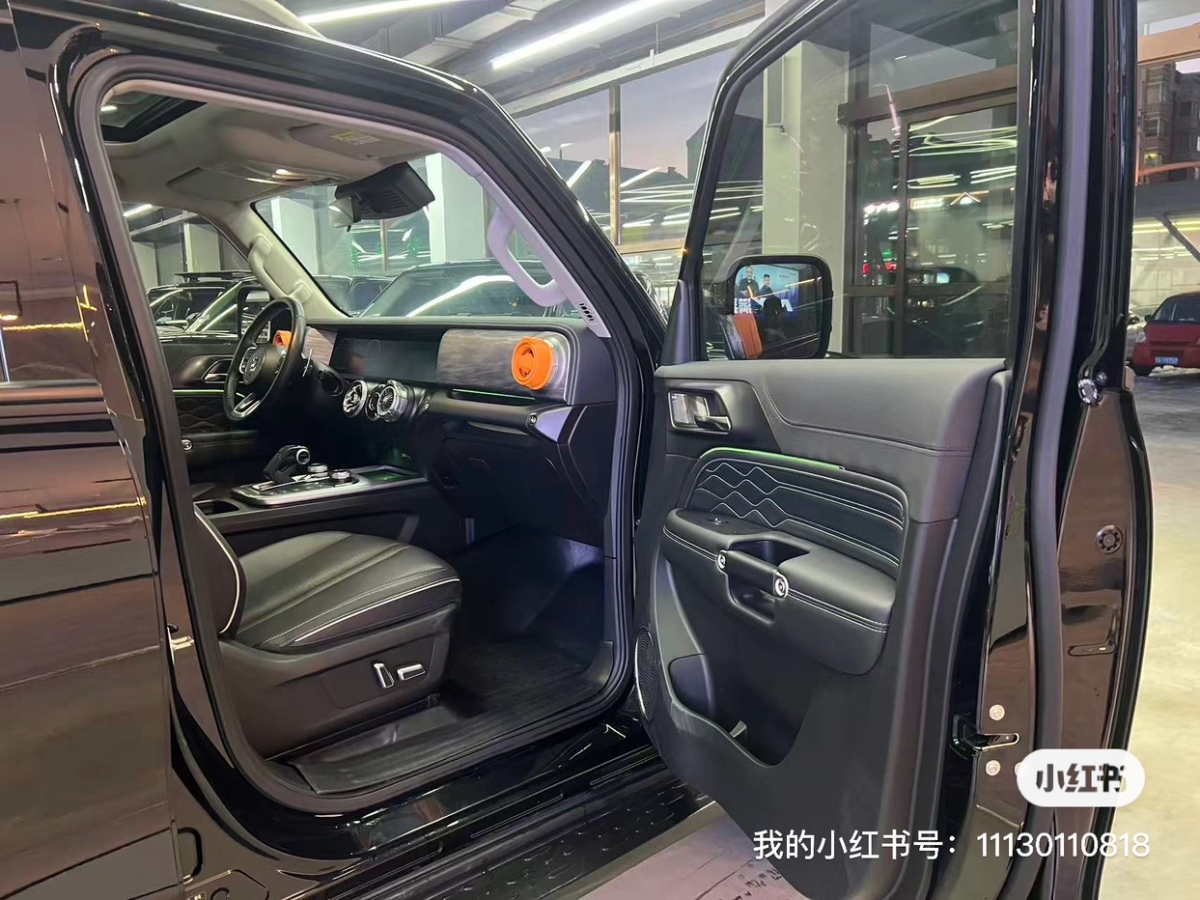 Tank 300 2022 car image #16