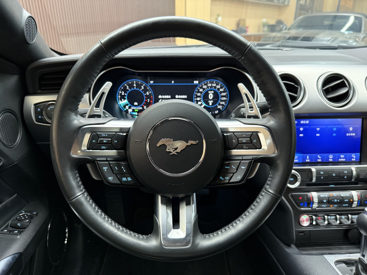 Ford Mustang 2022 car image #16