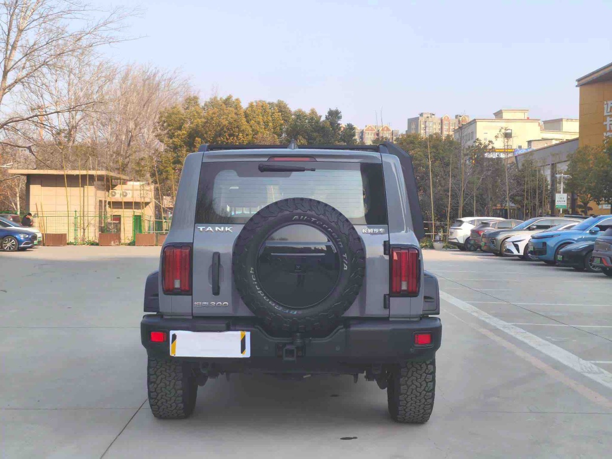 Tank 300 2022 #16 Tank 300 2022 صورة سيارة #16