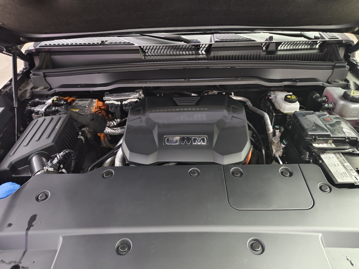 Tank 400 New Energy 2024 car image #16