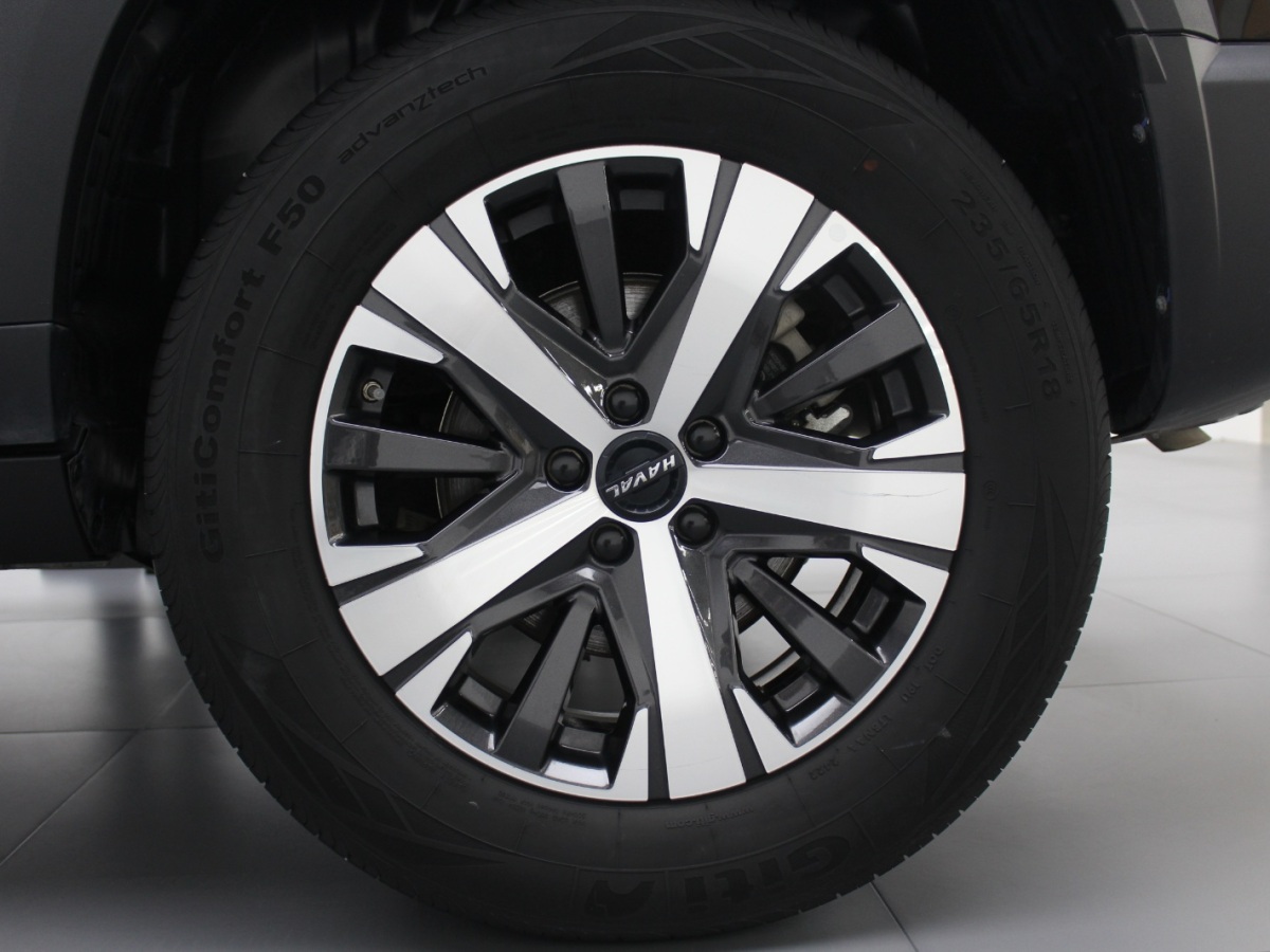 Haval X Dog / Dargo 2022 #16 Haval X Dog / Dargo 2022 car image #16